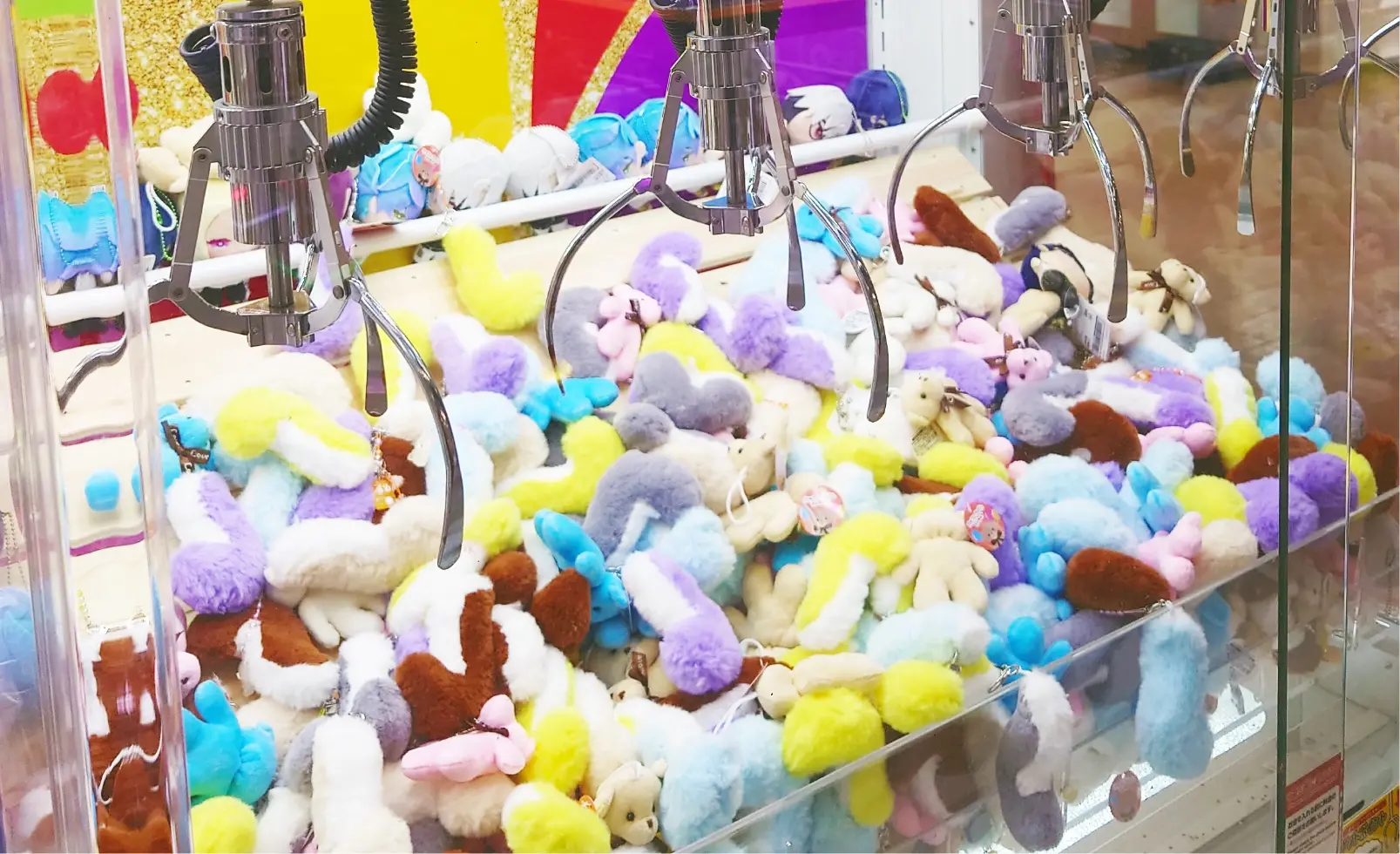 プライズマシンの中にぬいぐるみ景品が並んでいる様子